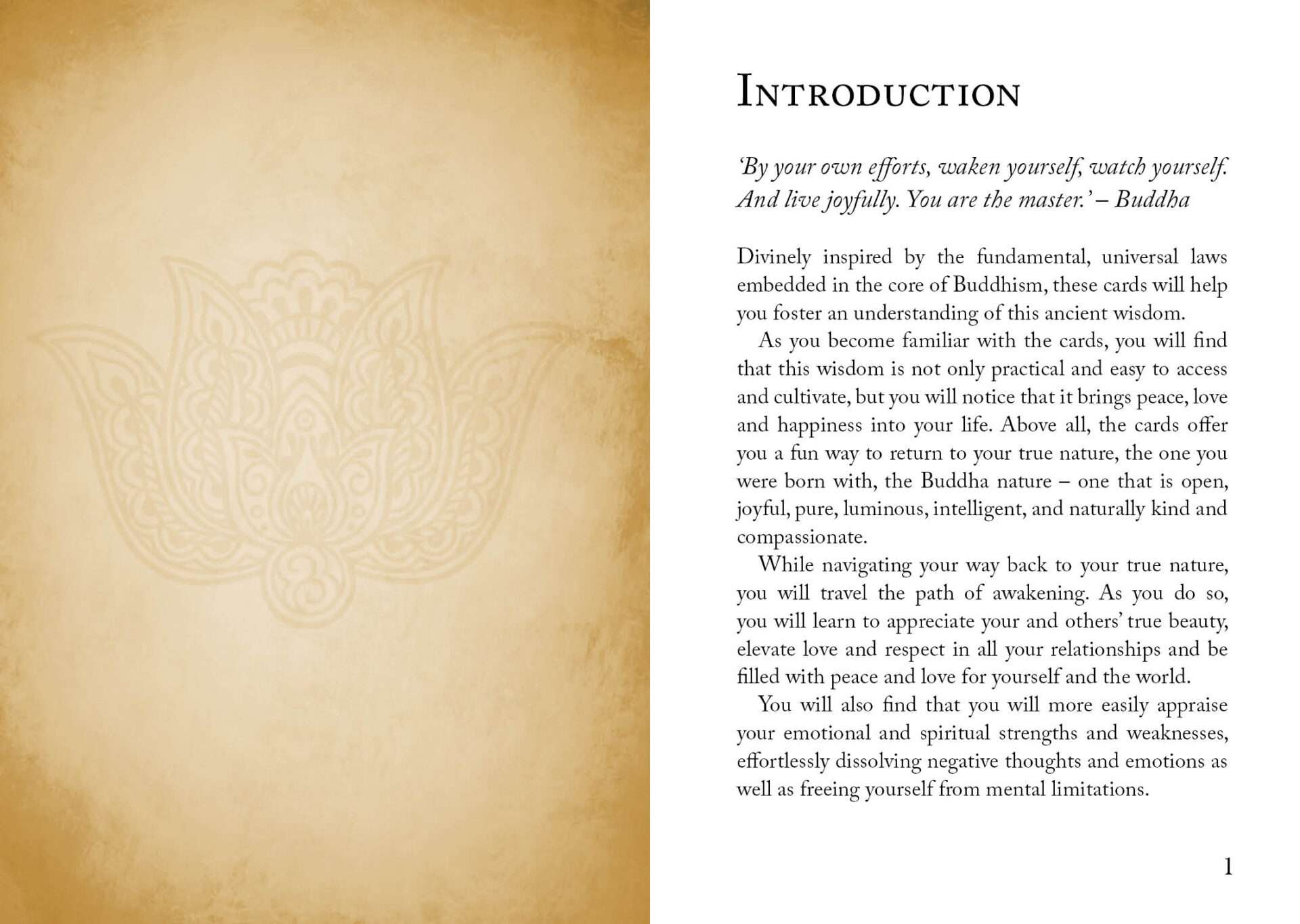 Buddhism Oracle by Sofan Chan