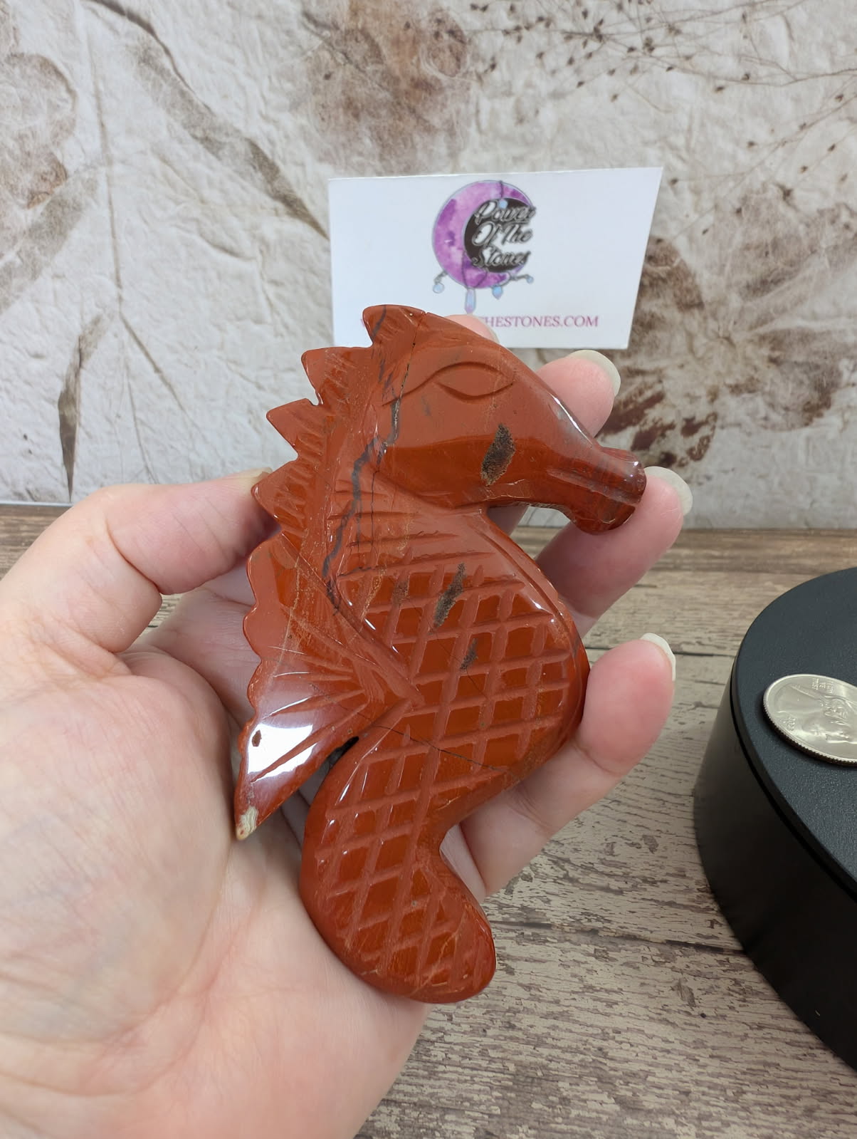 Red Jasper flat seahorse