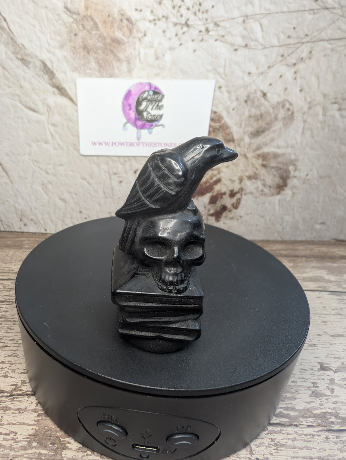 Black Obsidian carving of a crow, skull on stack of books.