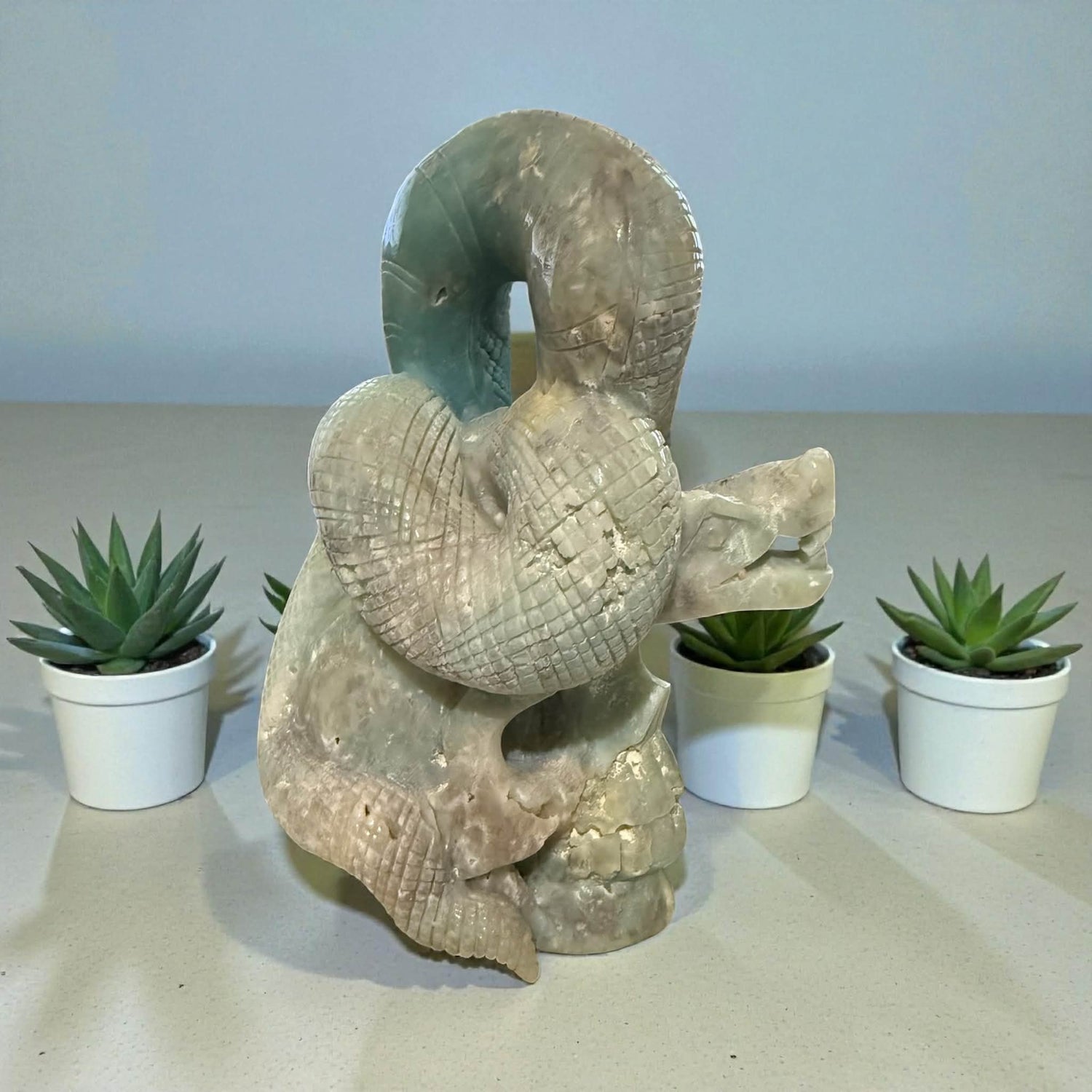 Massive Caribbean Calcite Skull with Snake – 9” Tall | 7 lbs 4 oz