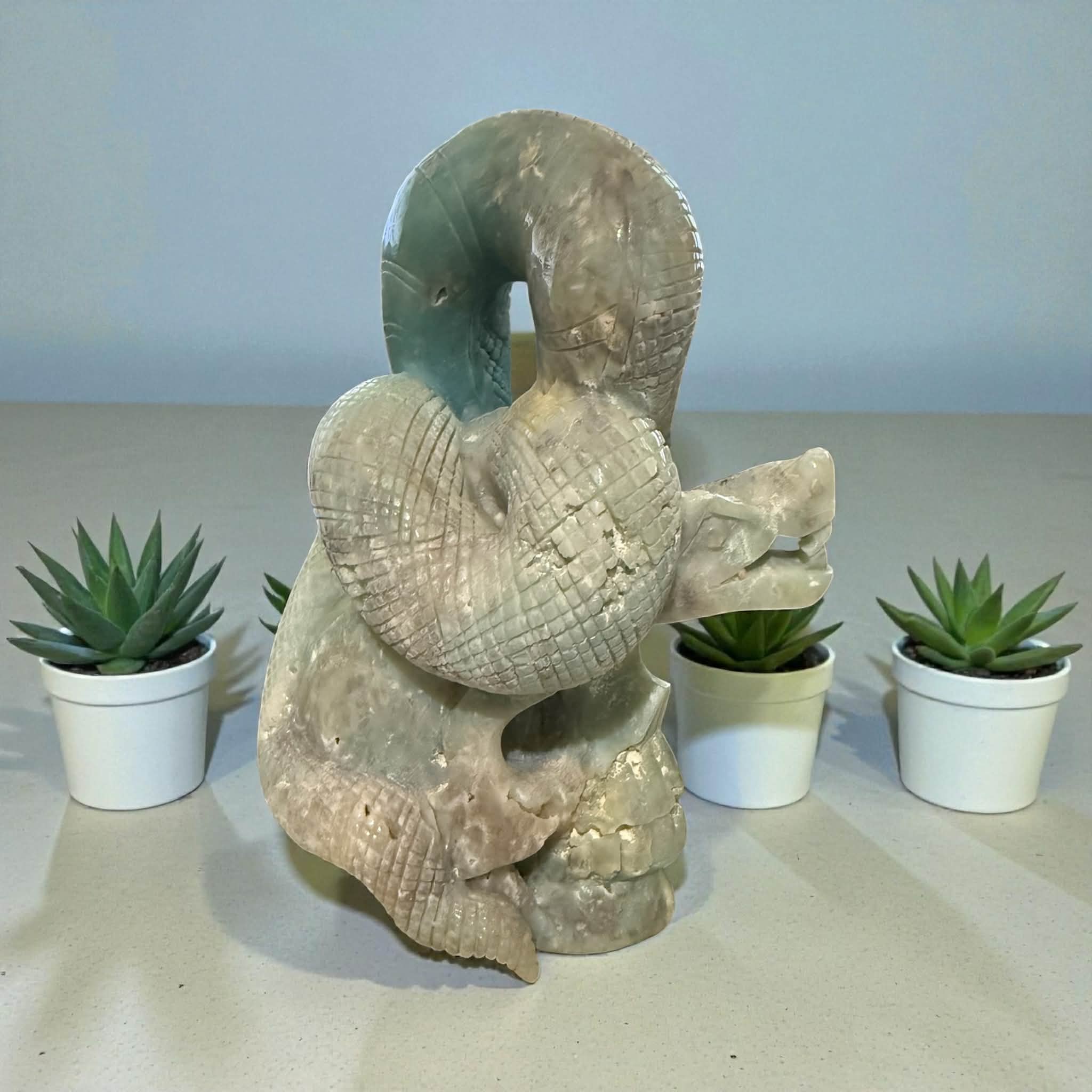 Massive Caribbean Calcite Skull with Snake – 9” Tall | 7 lbs 4 oz