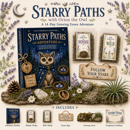 Starry Paths Adventure Kit | Dreams and Self-Belief Activity for Kids | Owl Companion Gift | Growing Grove Collection | The Knowing Grove |