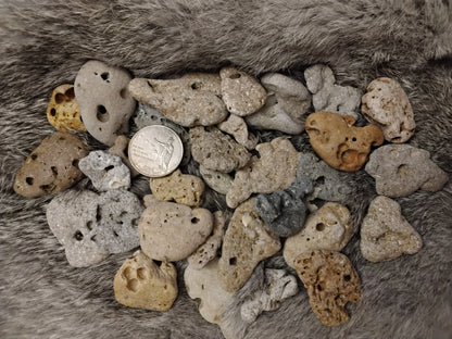 NATURAL HAGSTONES