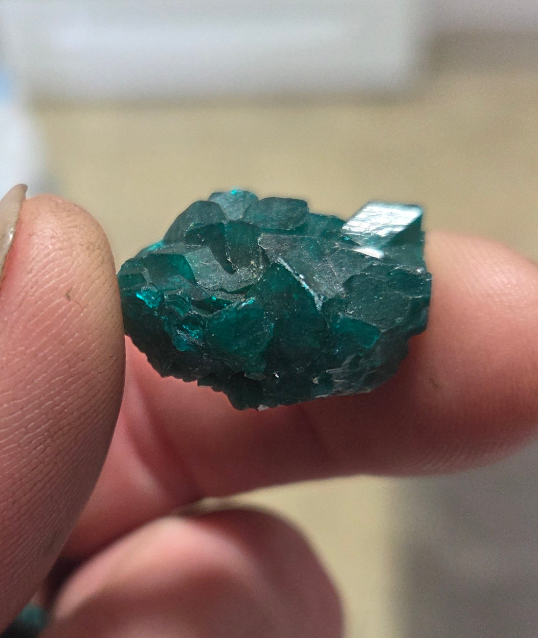 Dioptase crystals