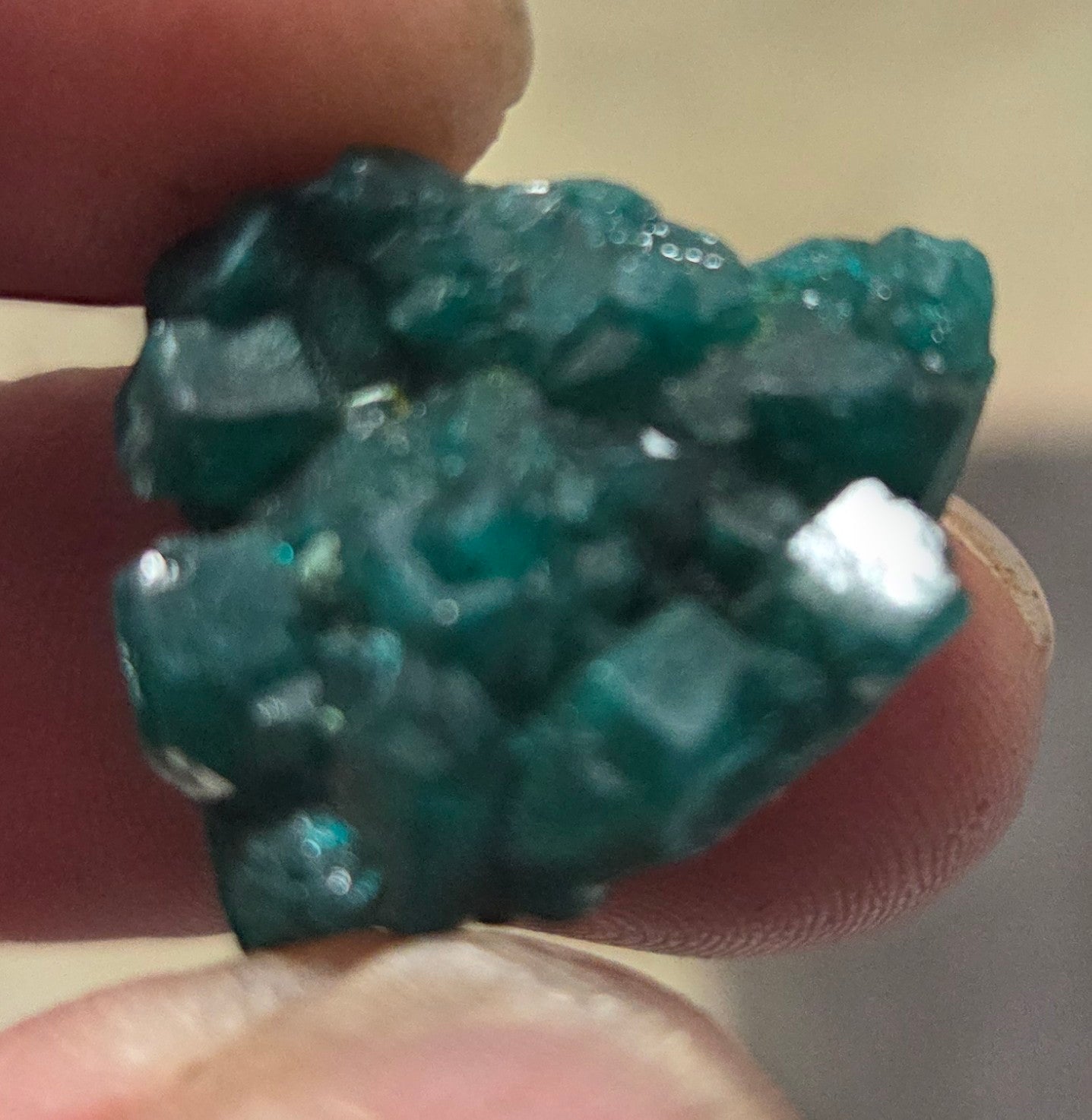 Dioptase crystals
