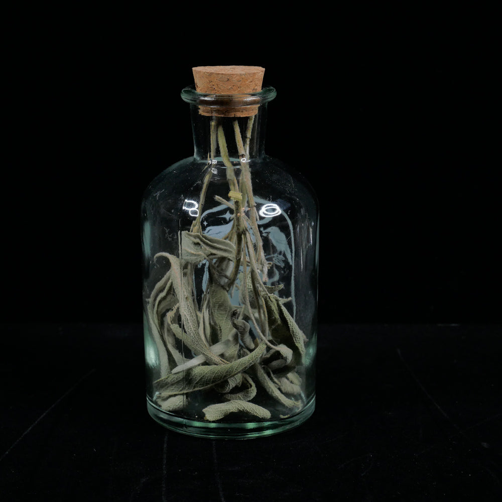 Glass Potion &amp; Ingredients Bottles, Herbs, Spices, with Witchy Design Imprint