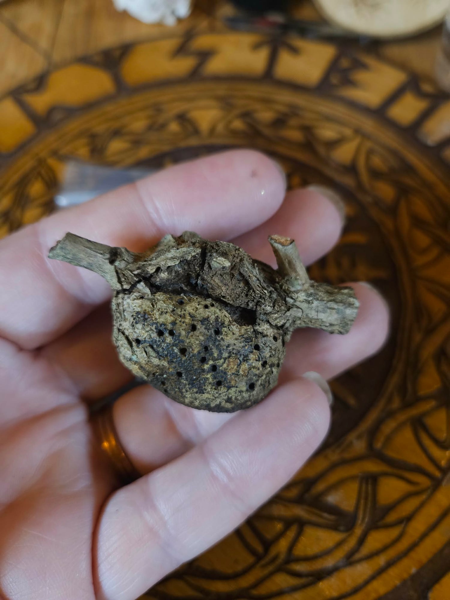 Oak Gall Trio + Protection Charm Spell | Forest Witchcraft Tool | Liminal Magic | Ward Kit | Ancestral Offering