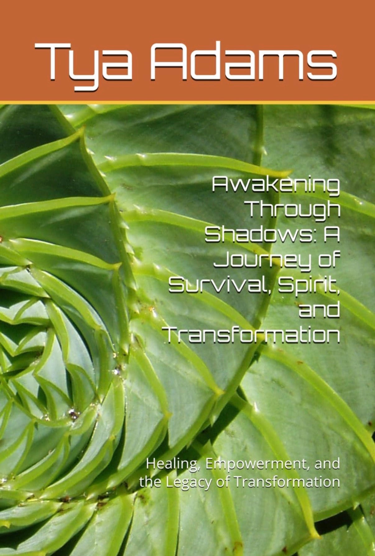 Awakening Through Shadows