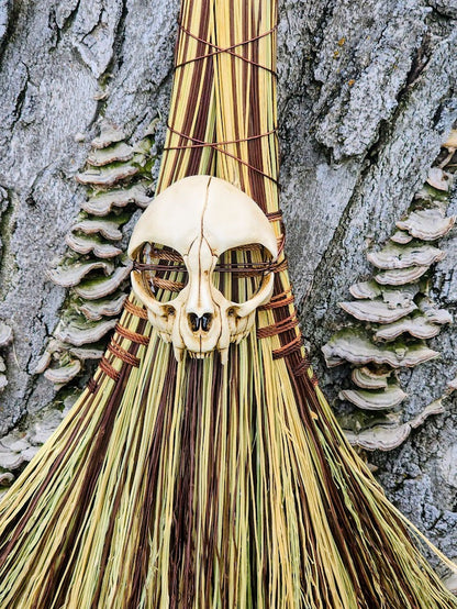 The Forsaken Hand Broom