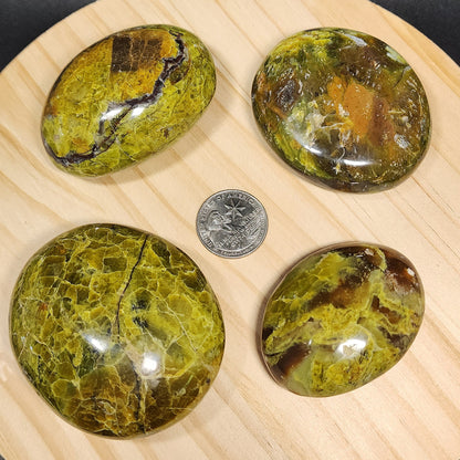 Green Opal Palm Stone | Large 2.5" Polished Crystal | Choose Your Crystal