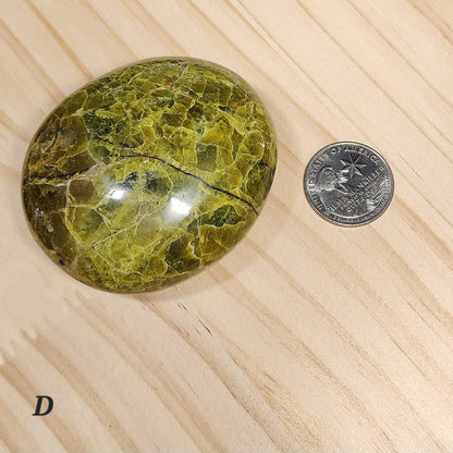 Green Opal Palm Stone | Large 2.5" Polished Crystal | Choose Your Crystal