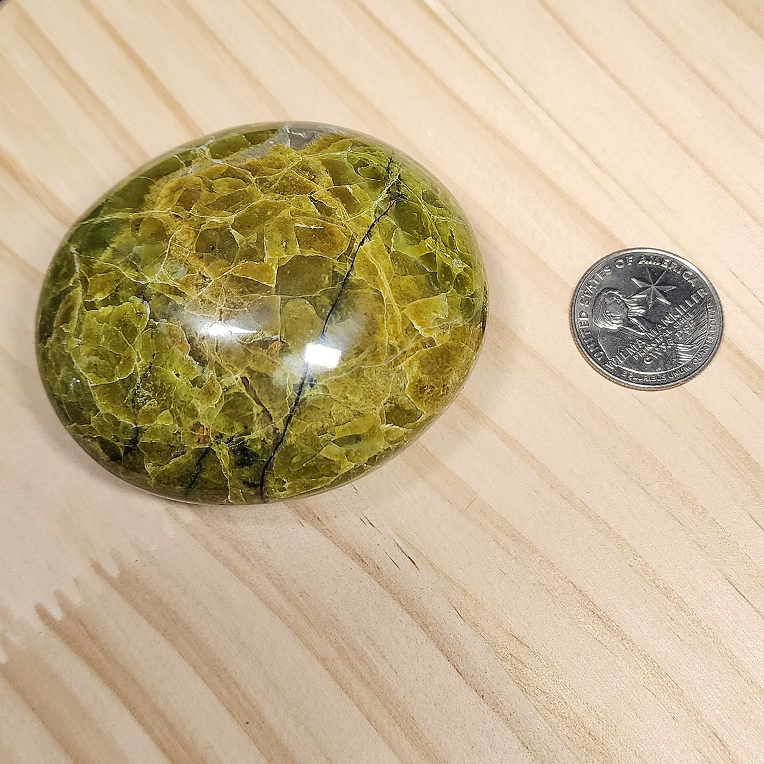 Green Opal Palm Stone | Large 2.5" Polished Crystal | Choose Your Crystal