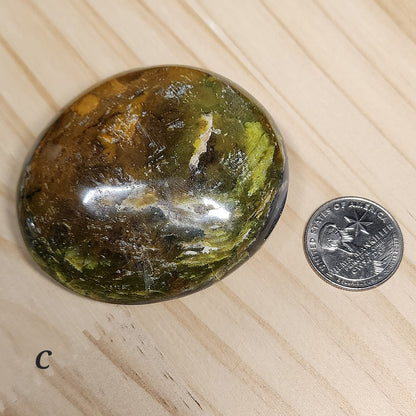 Green Opal Palm Stone | Large 2.5" Polished Crystal | Choose Your Crystal