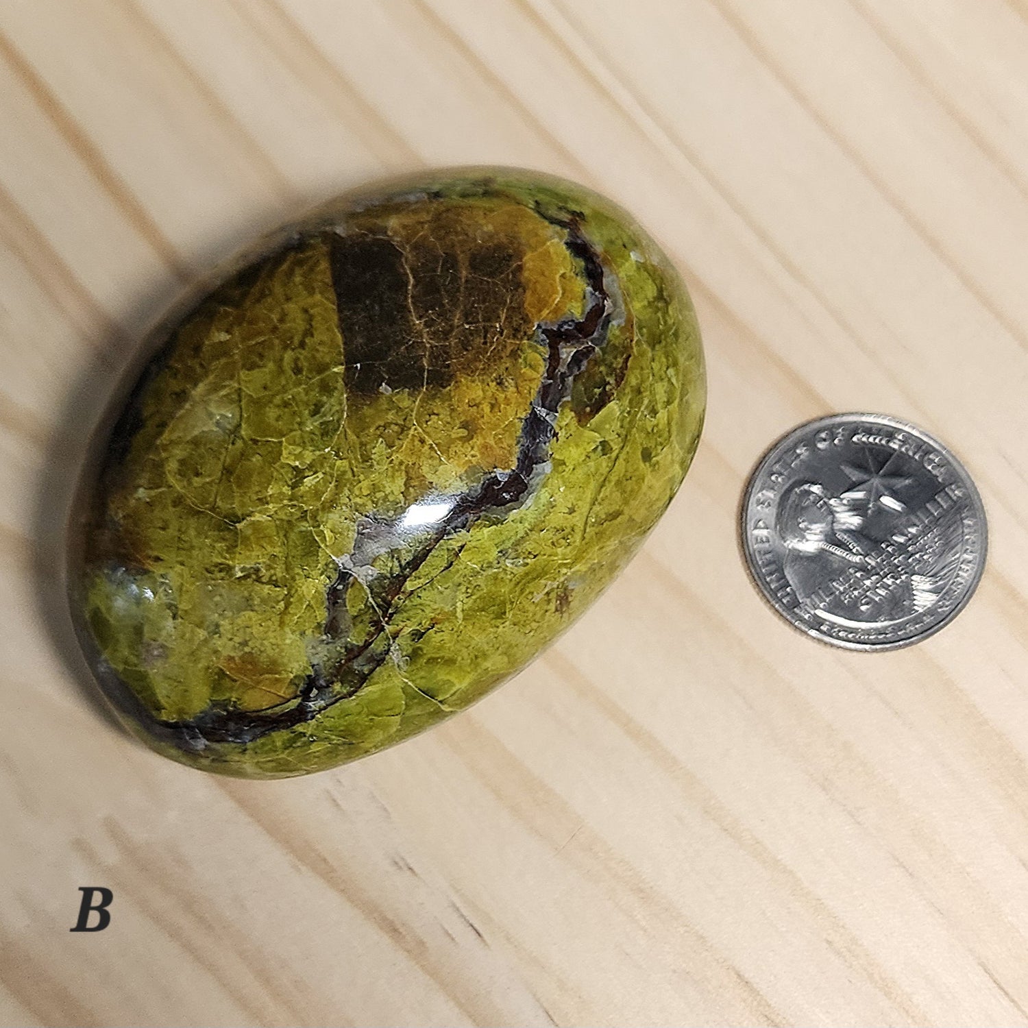 Green Opal Palm Stone | Large 2.5" Polished Crystal | Choose Your Crystal
