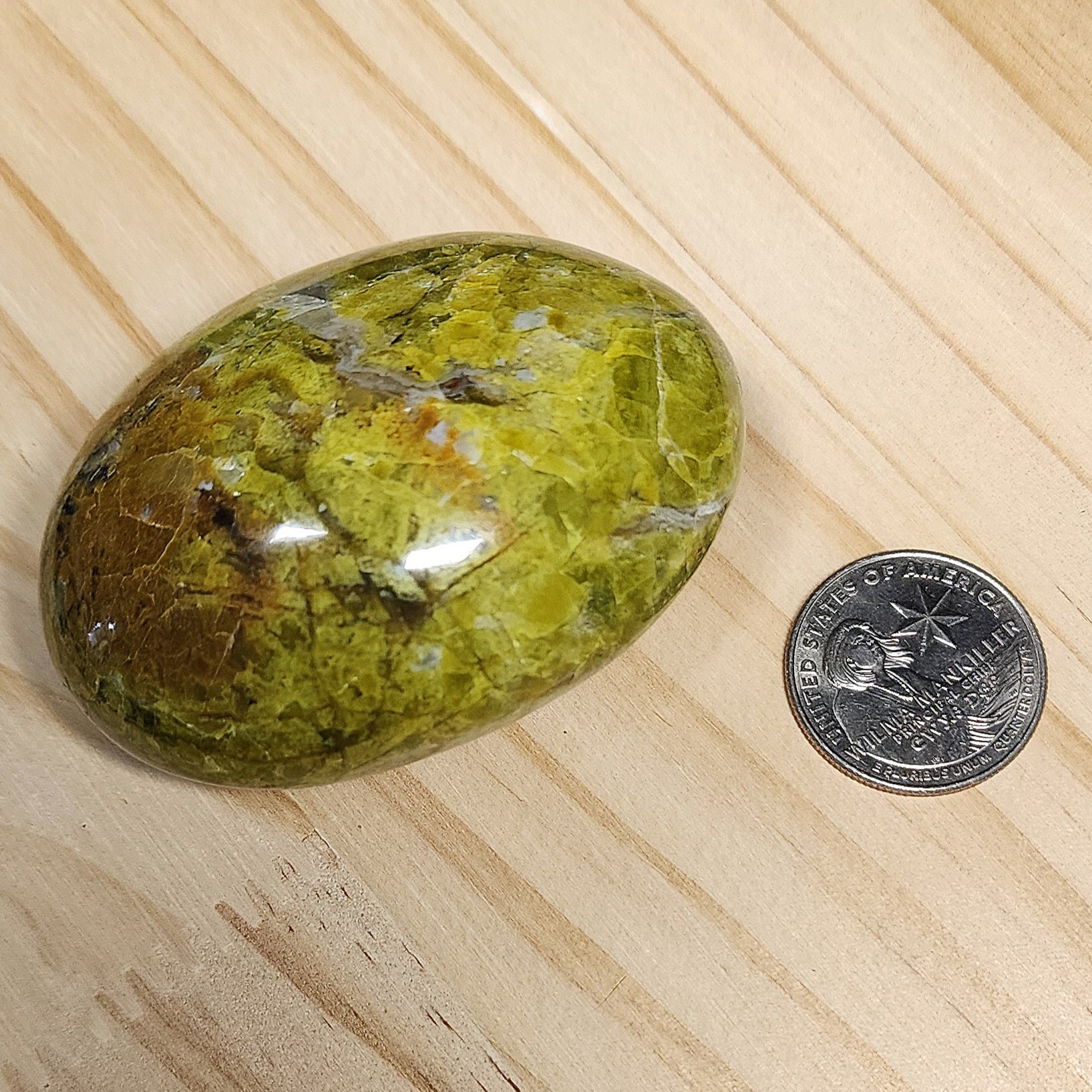 Green Opal Palm Stone | Large 2.5" Polished Crystal | Choose Your Crystal