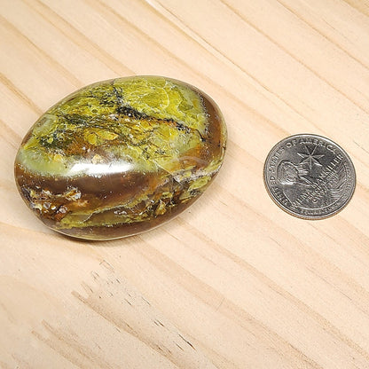 Green Opal Palm Stone | Large 2.5" Polished Crystal | Choose Your Crystal