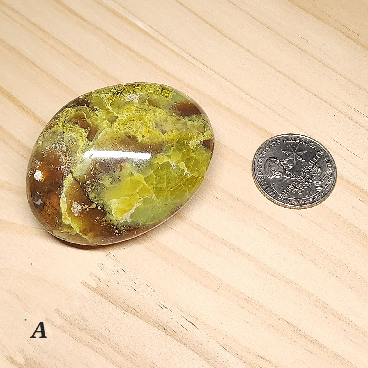 Green Opal Palm Stone | Large 2.5" Polished Crystal | Choose Your Crystal