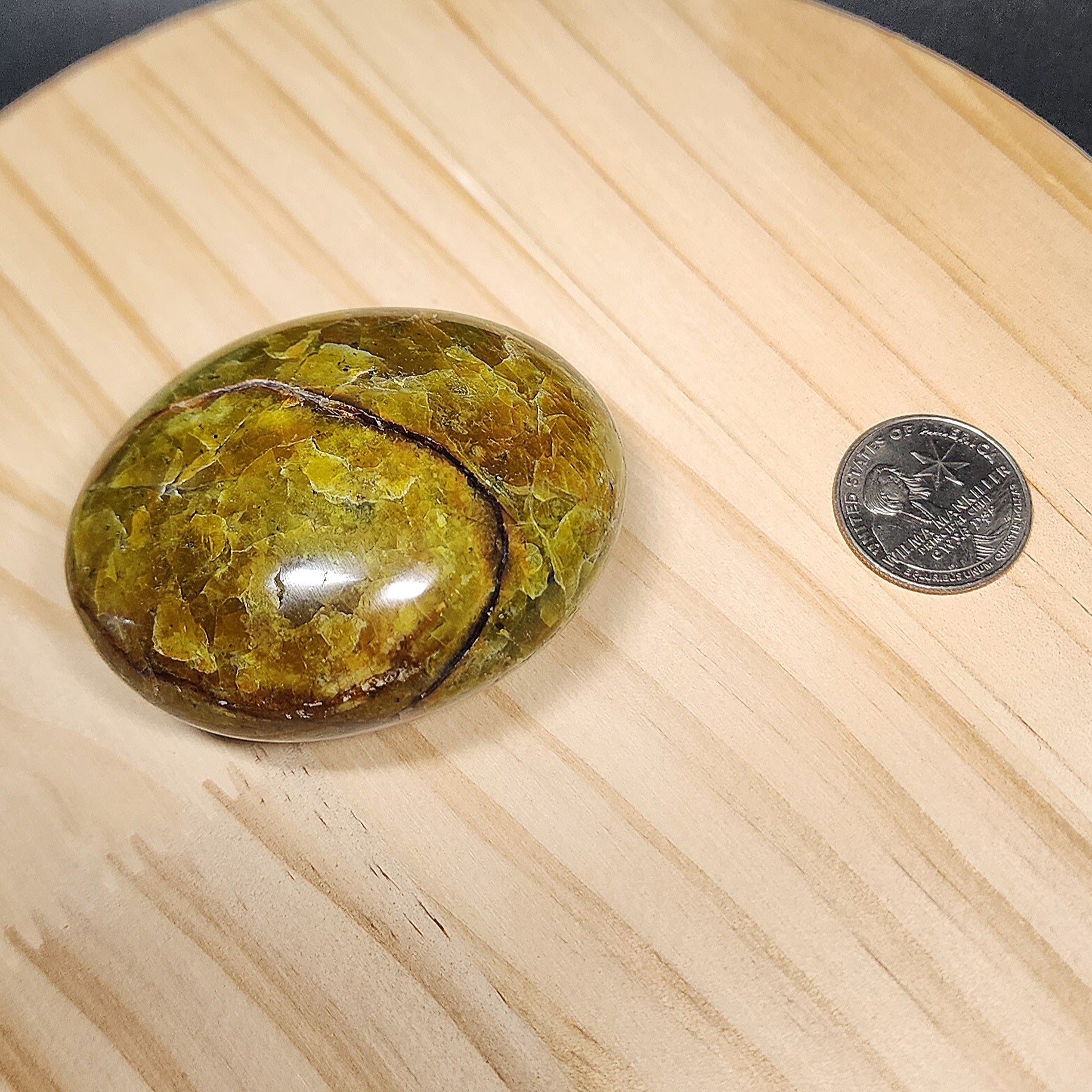 Green Opal Palm Stone | Large 2.5" Polished Crystal | Choose Your Crystal