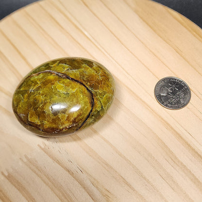 Green Opal Palm Stone | Large 2.5" Polished Crystal | Choose Your Crystal