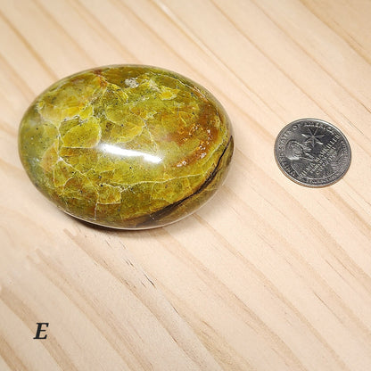Green Opal Palm Stone | Large 2.5" Polished Crystal | Choose Your Crystal