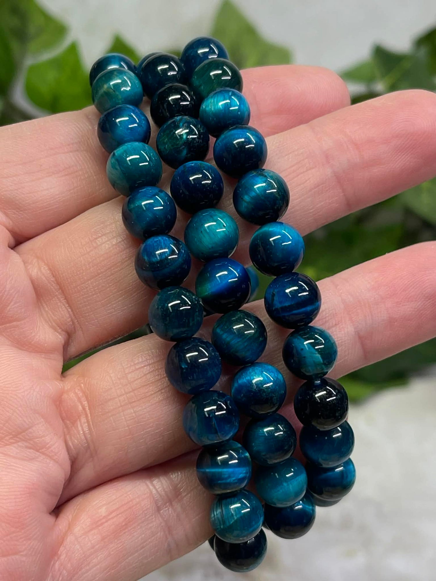 Dyed Blue Tiger&