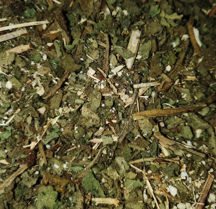 Wild Foraged Mullein | Protection Herb | Cleansing | Witches’ Taper | Appalachian Wildcrafted | 1 oz