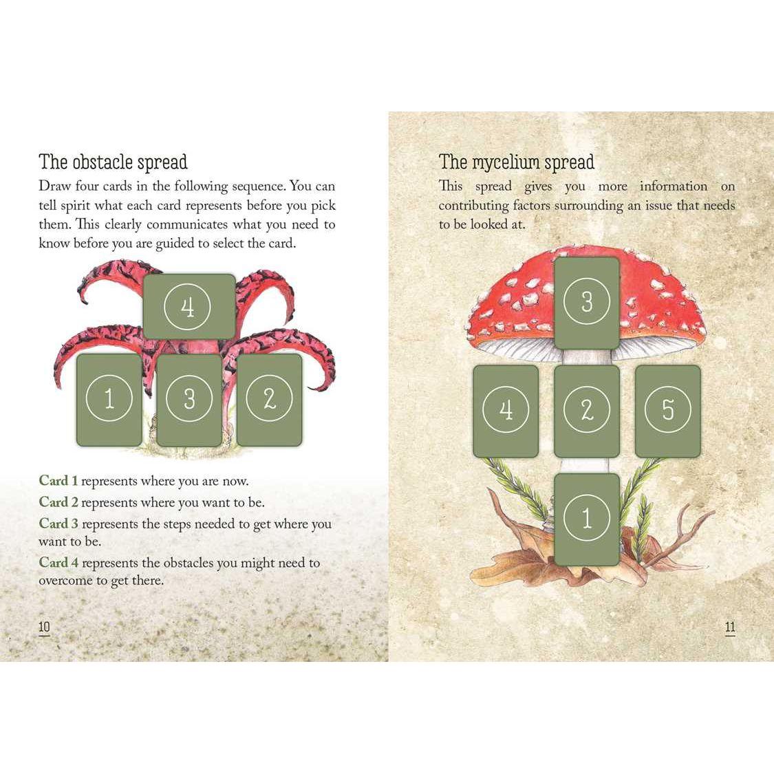 Mushroom Spirit Oracle Deck by Nicola McIntosh – 36 Illustrated Cards &amp; Guidebook