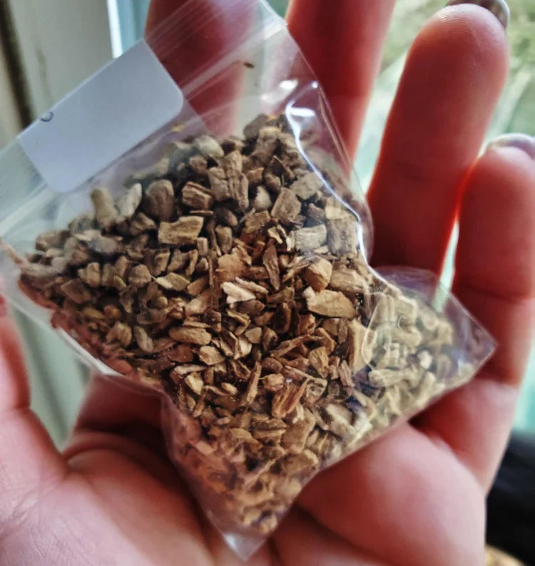 Calamus Root (Sweet Flag) | Commanding | Influence | Domination | Rootwork | ½ oz