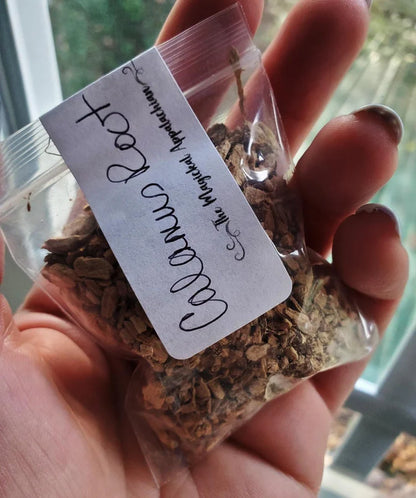 Calamus Root (Sweet Flag) | Commanding | Influence | Domination | Rootwork | ½ oz