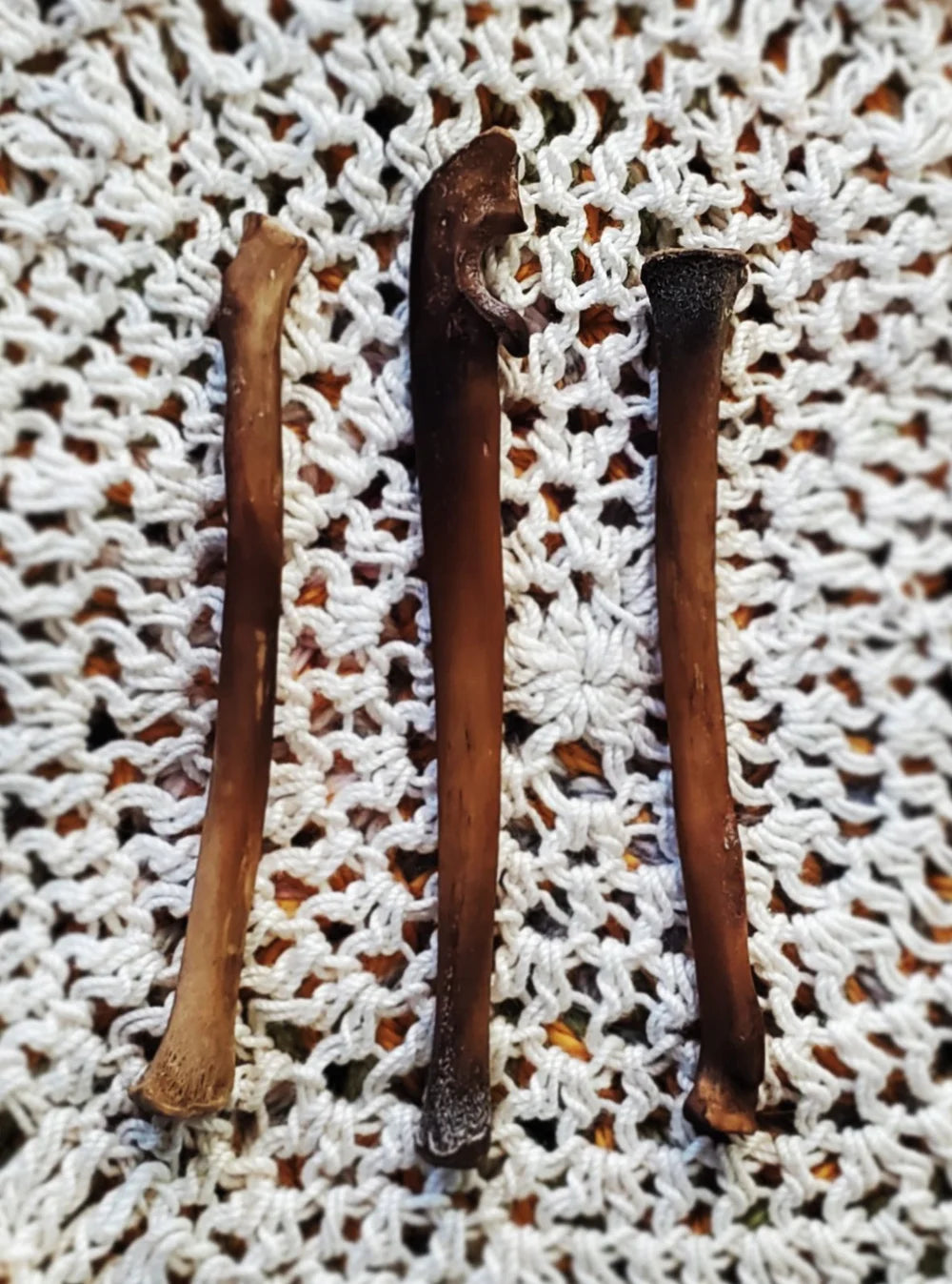 Authentic Black Cat Bone