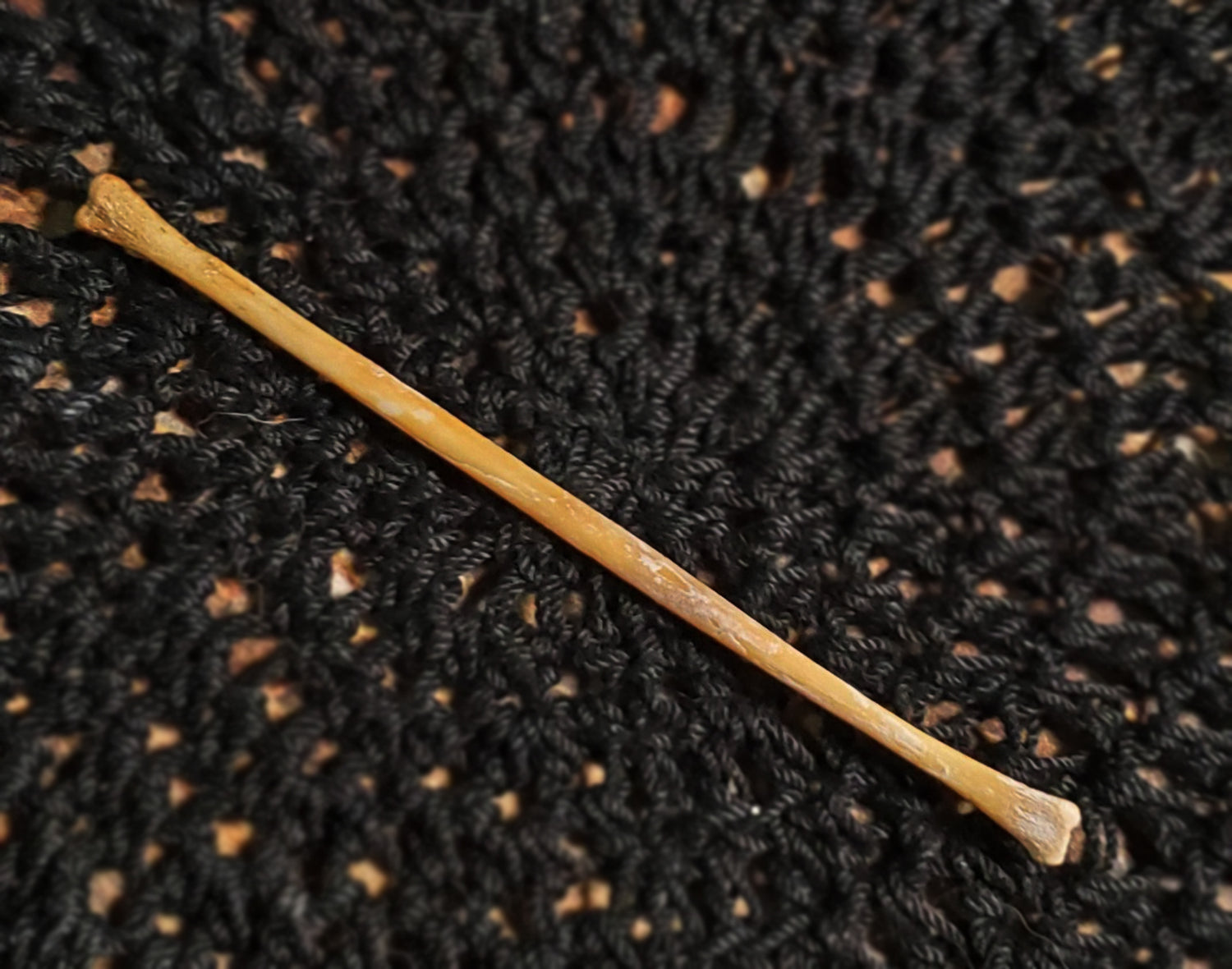 Authentic Black Cat Bone