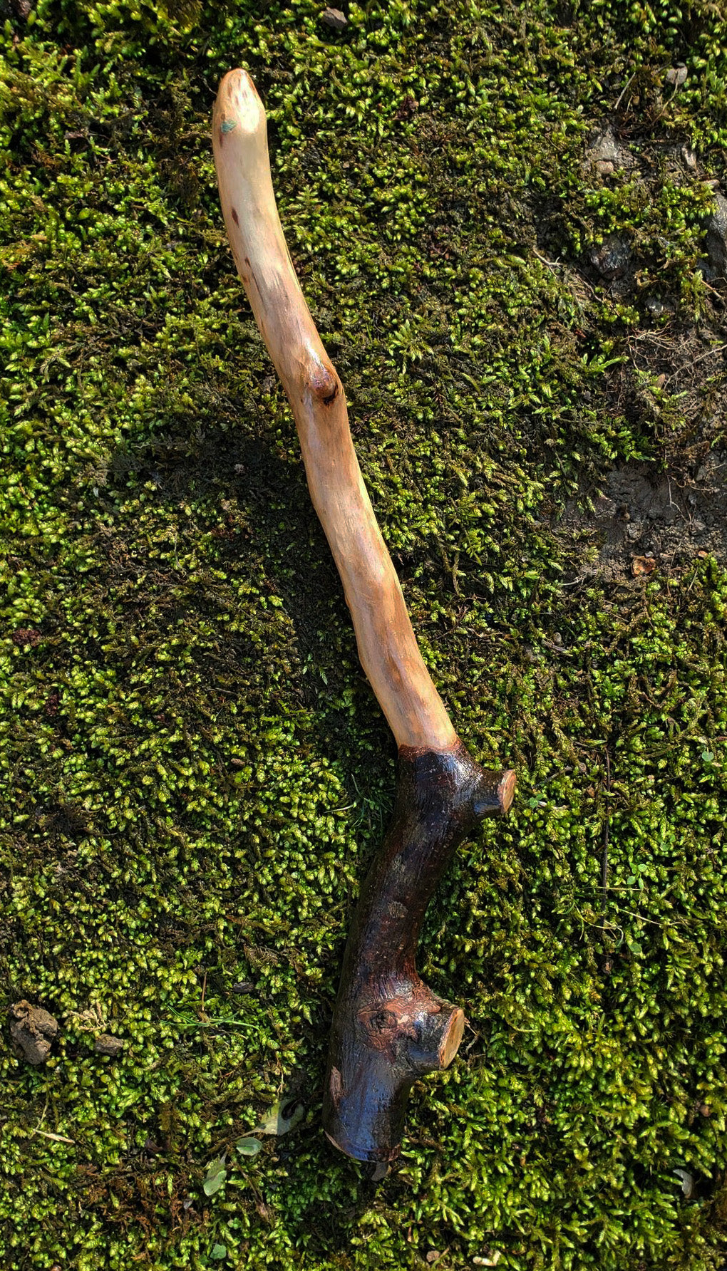 Mossbound Wand | Handcrafted Appalachian Foraged Wood Wand | 12” (No. 9)