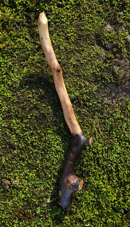 Mossbound Wand | Handcrafted Appalachian Foraged Wood Wand | 12” (No. 9)