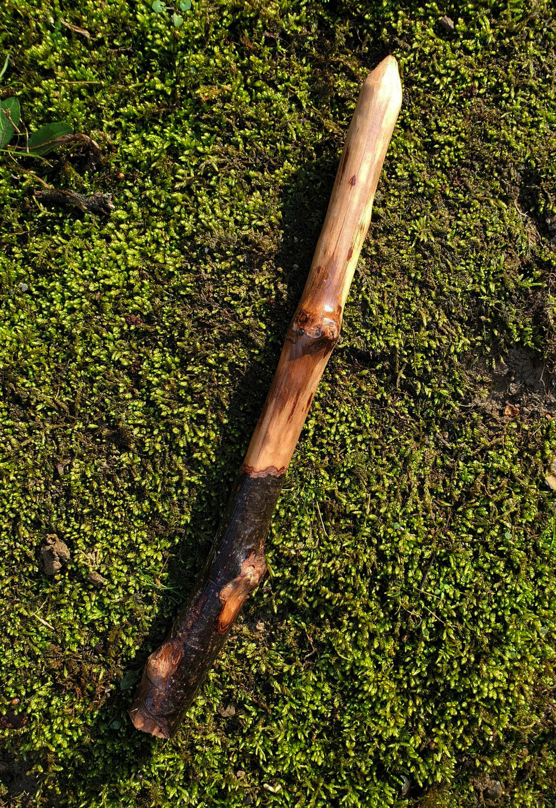 Appalachian Foraged Wand | Handcrafted Wooden Ritual Wand | Natural Witch Wand | Mossbound Wand No. 11