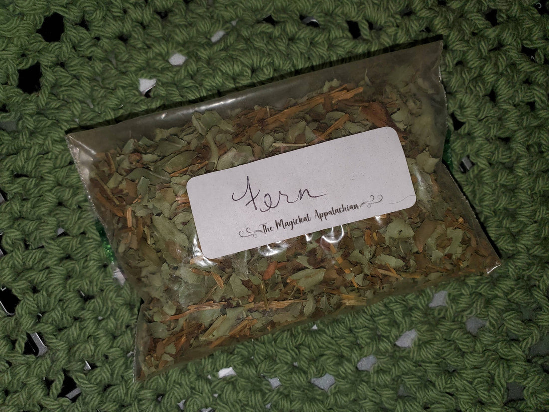 Wildcrafted Fern – 1 oz (Appalachian Foraged)