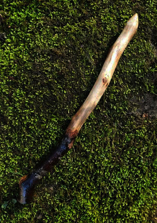 Mossbound Wand | Appalachian Foraged Wood Wand 