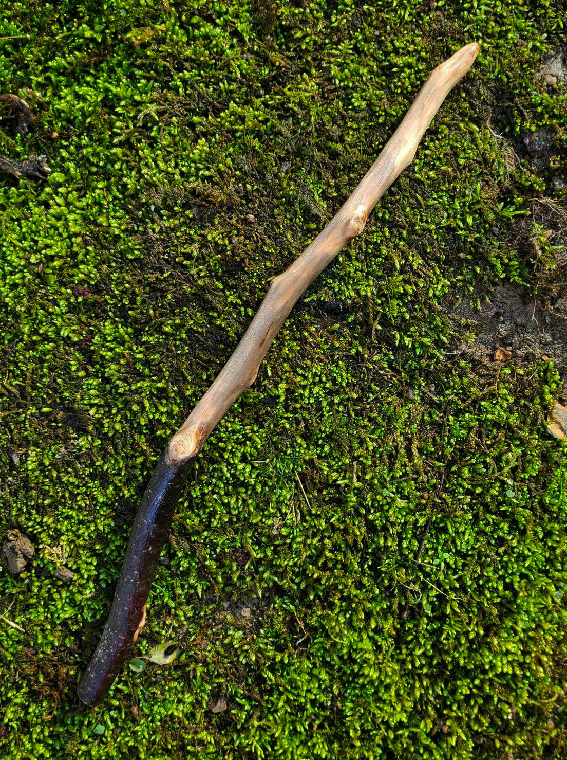 The Mossbound Wand | Appalachian Foraged Spell Wand (No. 7)