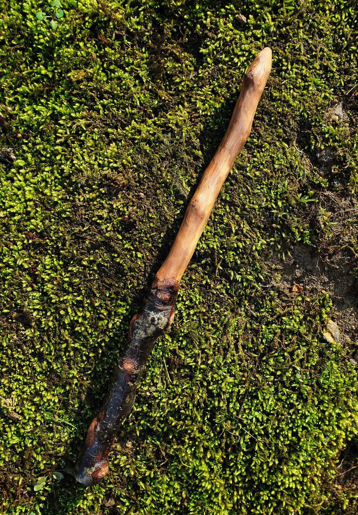Handcrafted Appalachian Wand | Foraged Wood Ritual Wand 12” (No. 10)