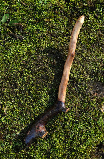 Mossbound Wand | Handcrafted Appalachian Foraged Wood Wand | 12” (No. 9)