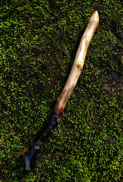 Mossbound Wand | Appalachian Foraged Wood Wand 