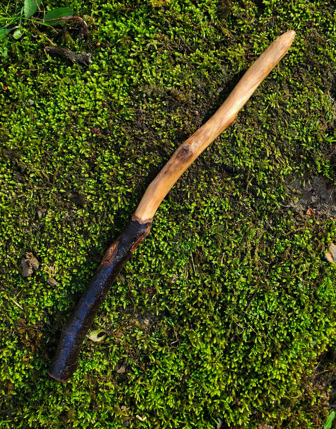Mossbound Wand No. 8 | Handcrafted Appalachian Foraged Wood Wand | 12” Ritual Wand