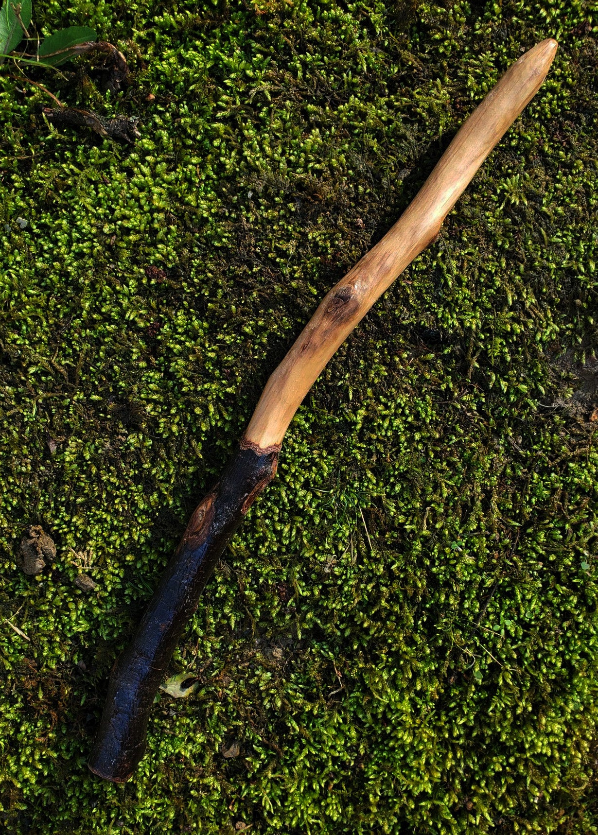 Mossbound Wand No. 8 | Handcrafted Appalachian Foraged Wood Wand | 12” Ritual Wand