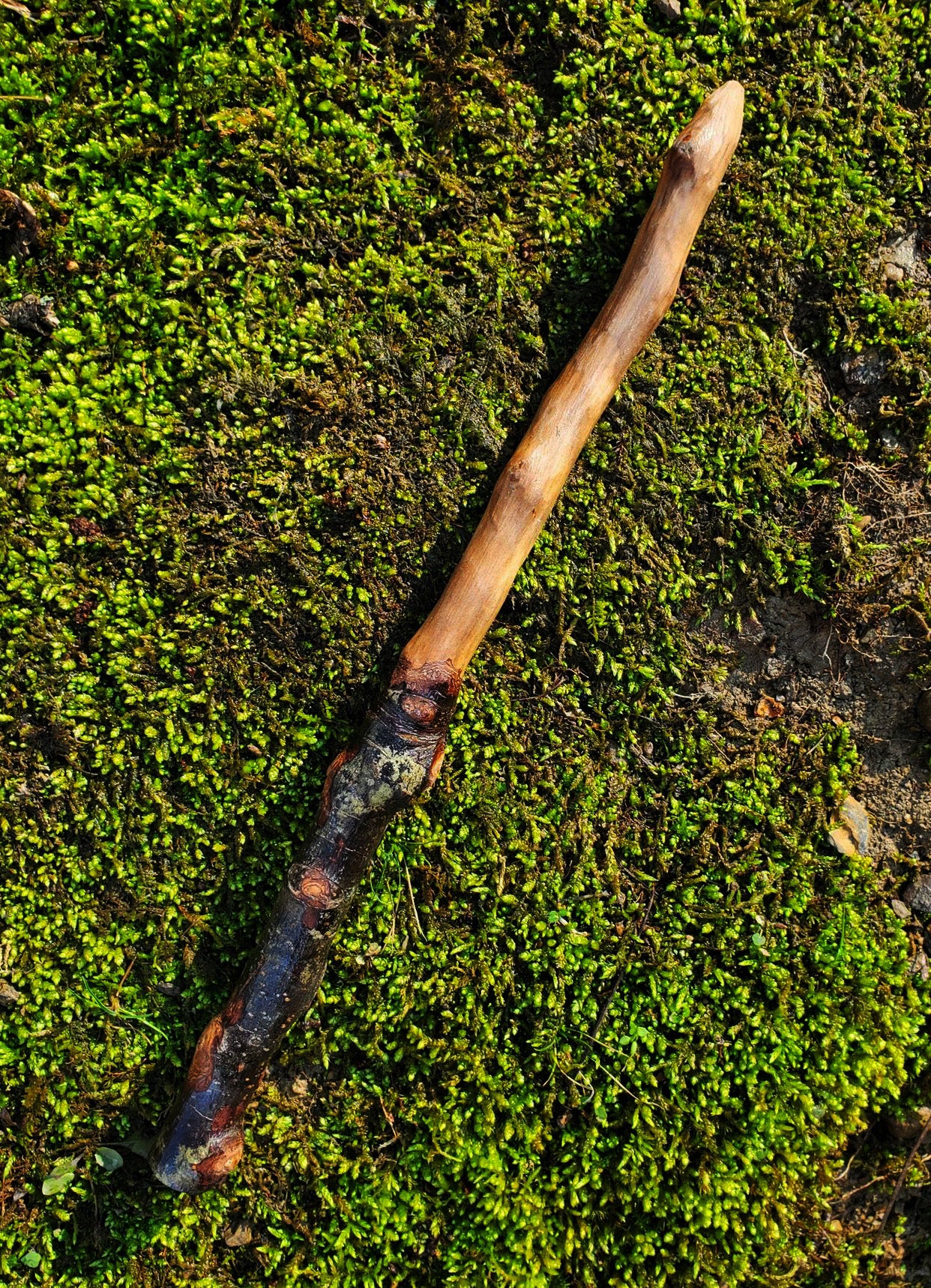 Handcrafted Appalachian Wand | Foraged Wood Ritual Wand 12” (No. 10)