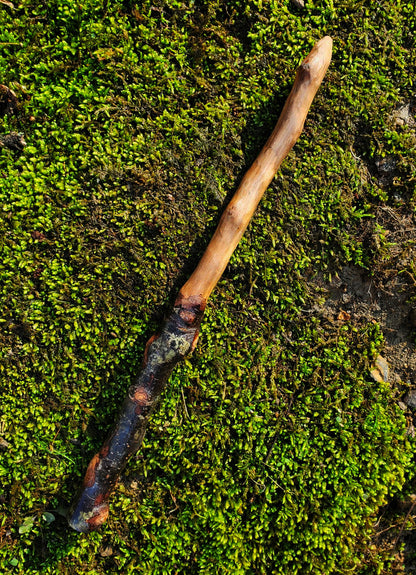 Handcrafted Appalachian Wand | Foraged Wood Ritual Wand 12” (No. 10)