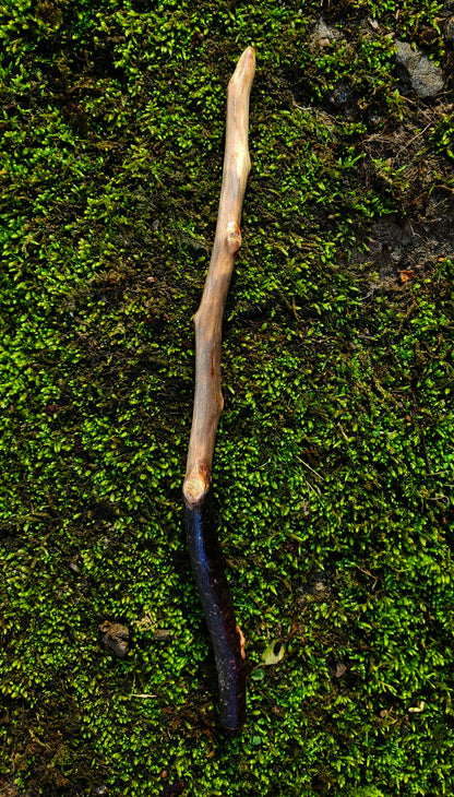 The Mossbound Wand | Appalachian Foraged Spell Wand (No. 7)