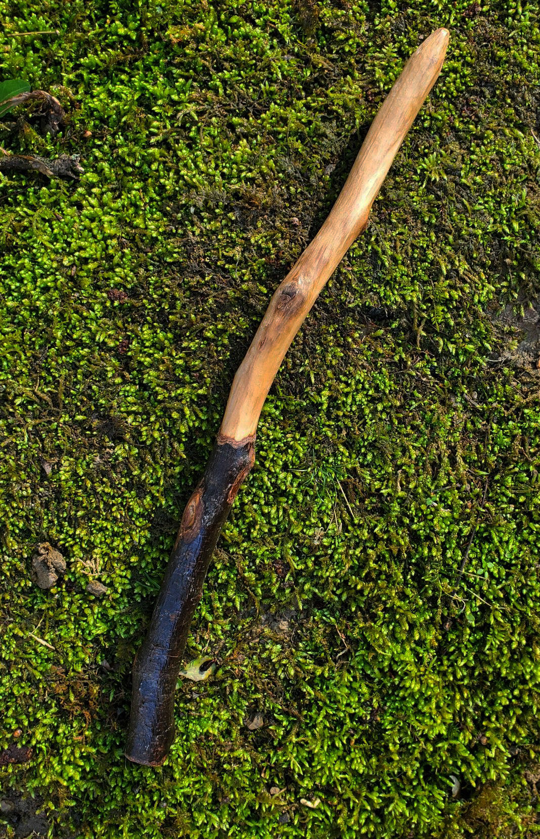 Mossbound Wand No. 8 | Handcrafted Appalachian Foraged Wood Wand | 12” Ritual Wand