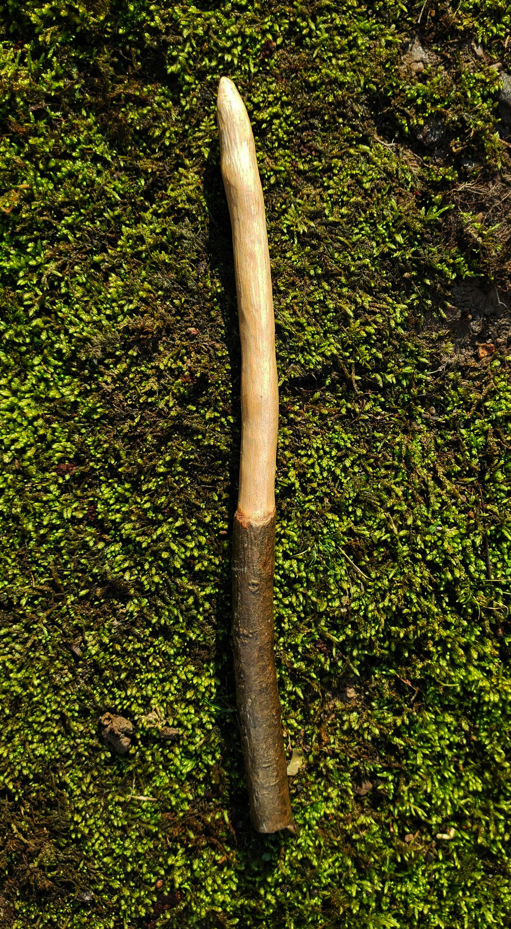 Appalachian Foraged Wand | Handcrafted Wooden Ritual Wand | Natural Witch Wand | Mossbound Wand No. 13