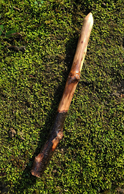 Appalachian Foraged Wand | Handcrafted Wooden Ritual Wand | Natural Witch Wand | Mossbound Wand No. 11