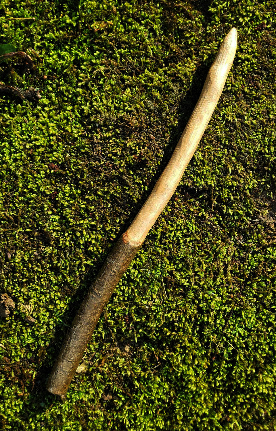 Appalachian Foraged Wand | Handcrafted Wooden Ritual Wand | Natural Witch Wand | Mossbound Wand No. 13
