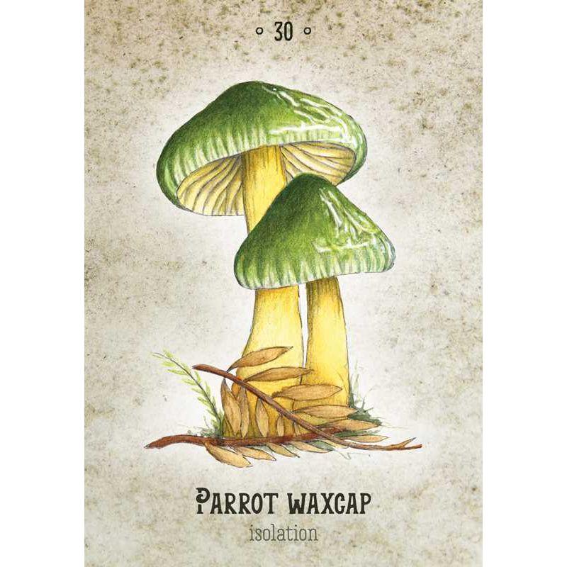 Mushroom Spirit Oracle Deck by Nicola McIntosh – 36 Illustrated Cards &amp; Guidebook